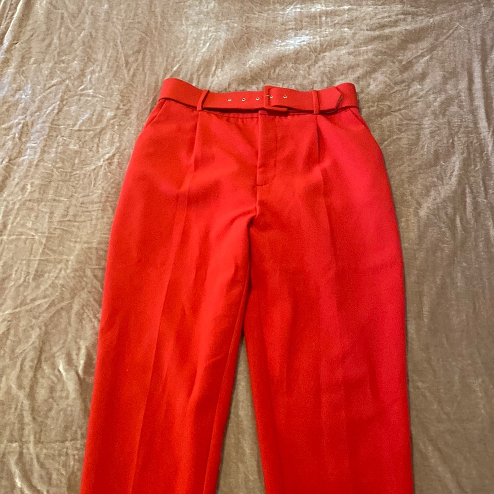 Zara Belted Pants